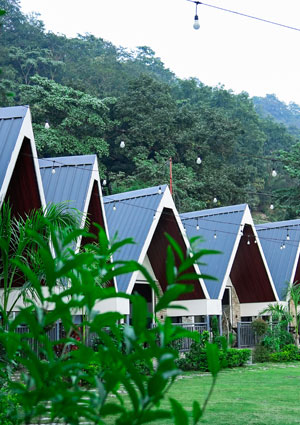 luxury camping in Rishikesh - About The Jungle Walker Resort